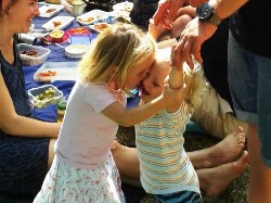 WV Picknick 2016 (c) Irmgard Brill WV Picknick 2016 (c) Irmgard Brill